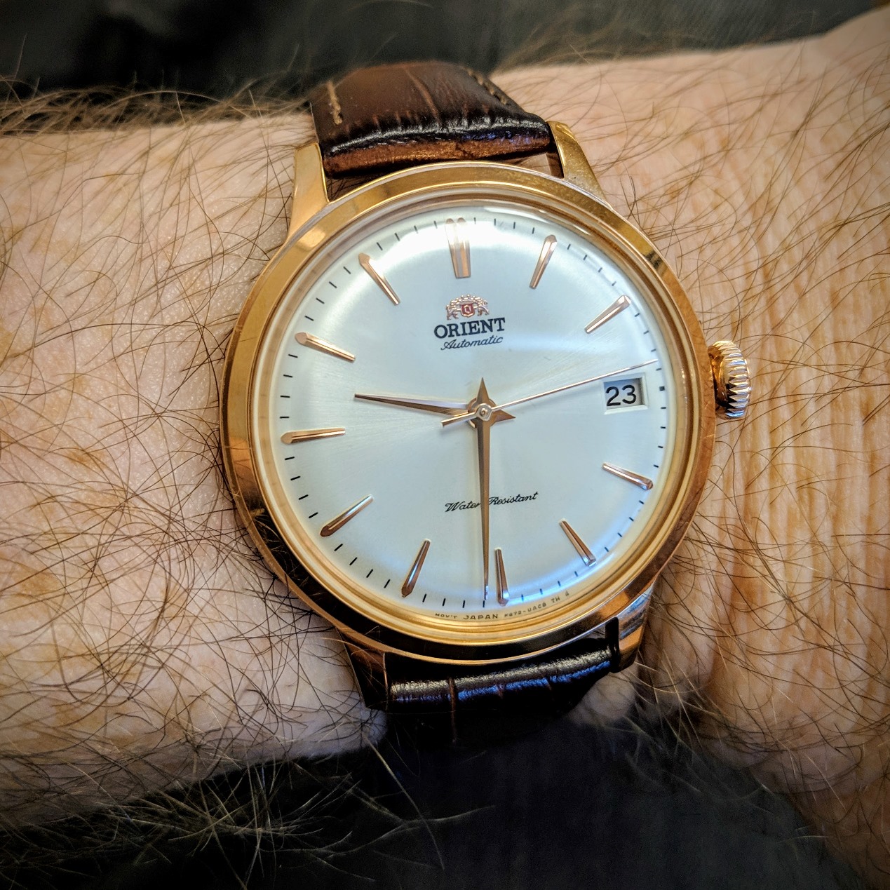 orient watch 36mm