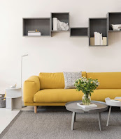 Furniture color idea for living room