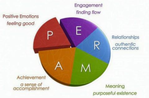 Seligman's theory of preparedness