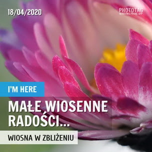 Małe wiosenne radości...