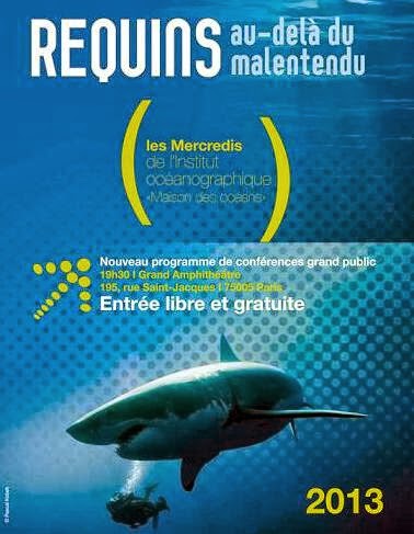 Bretagne : Pourquoi le requin-pèlerin se plaît tant dans les eaux du  Finistère