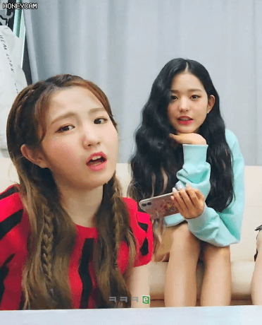 원영의 치즈 애플크럽블에 반응하는 히토미