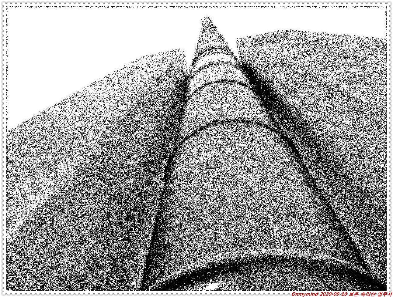 속리산 법주사 속리산 법주사