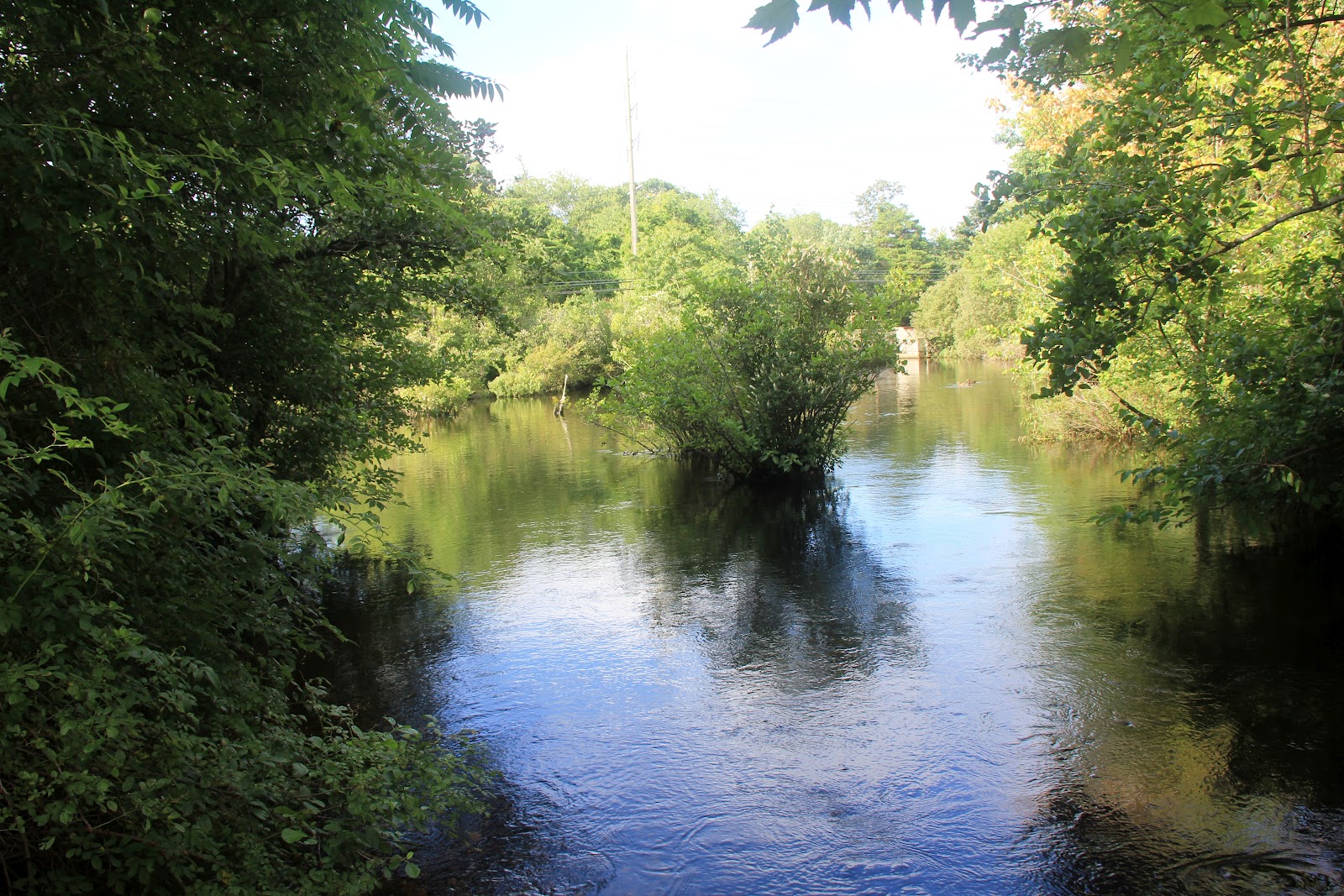 in Pictures August 2012