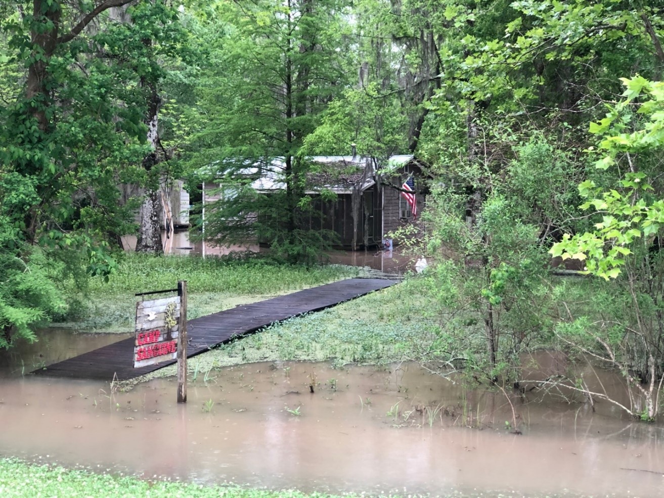 All Things Bayou Pigeon