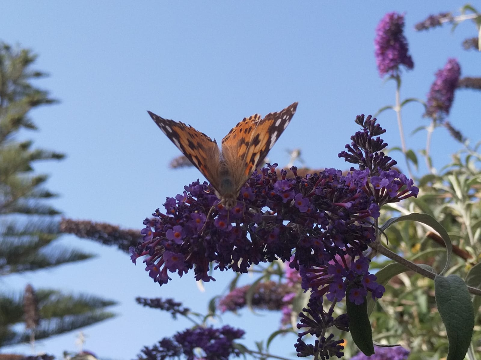 Le Chemin Des Grands Jardins