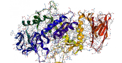 Cara Kerja Enzim di Dalam Tubuh Kita UNRANG