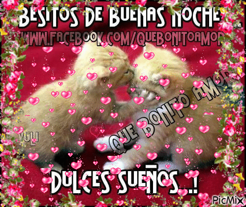 Feliz Noche Gifs Tenor