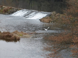 Randonnée Tarn Le Viaur Bea Rando Decouverte