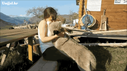 3.gif