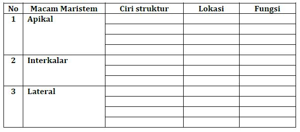 Ciri struktur lateral