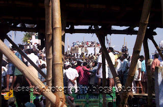 Spectators at the Jallikatttu
