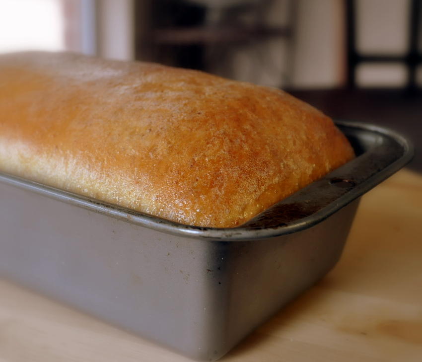 The Katy Rose Country Crust Bread