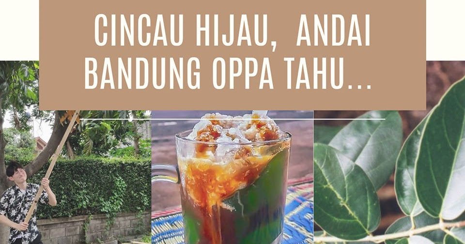 Cincau Hijau Andai Bandung Oppa Tahu Curhat Si Ambu Cincau Hijau Andai Bandung Oppa Tahu Curhat Si Ambu