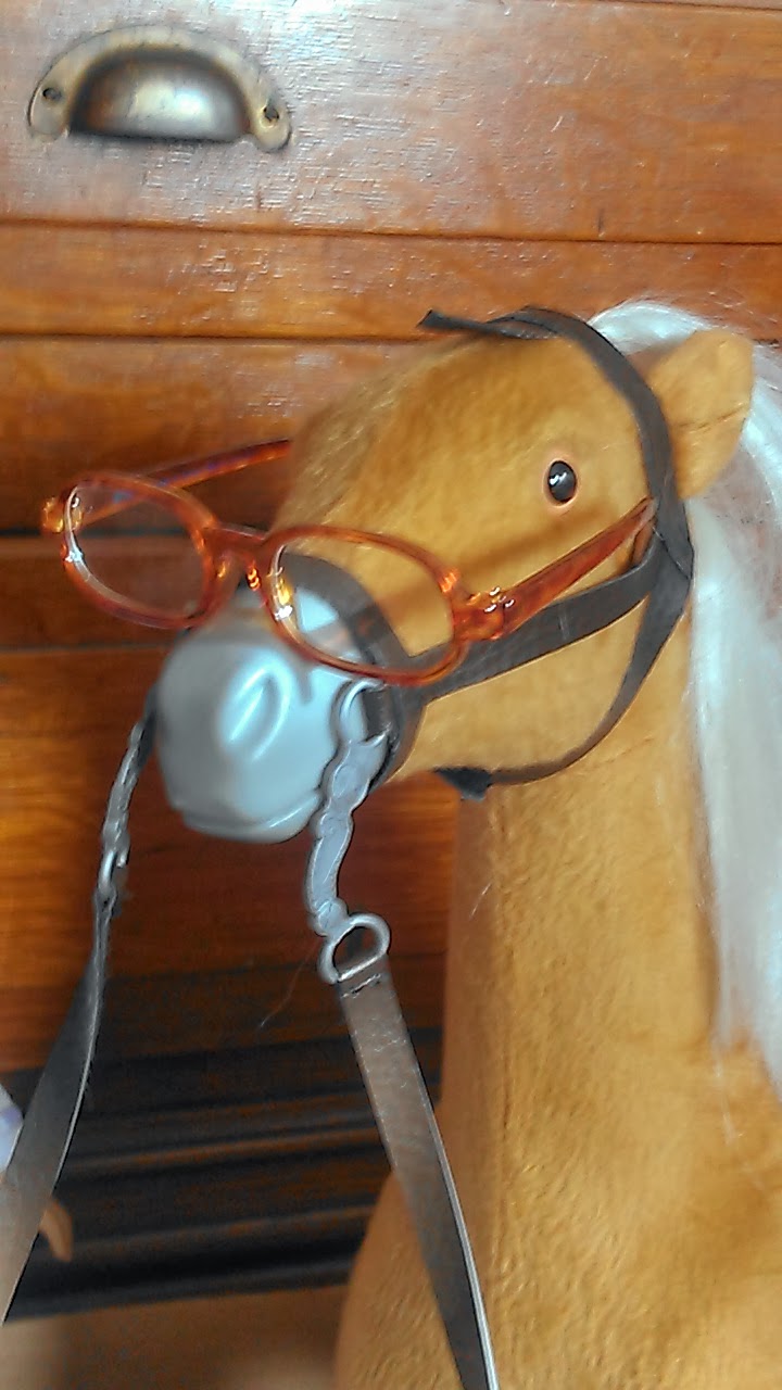 A Romantic Porch Have You Ever Seen A Horse Wearing Glasses?