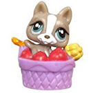 Littlest Pet Shop Teensies German Shepherd (#T138) Pet