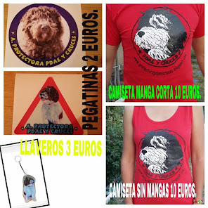 CAMISETAS NUEVAS