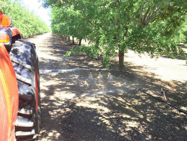 almond fertilizer application