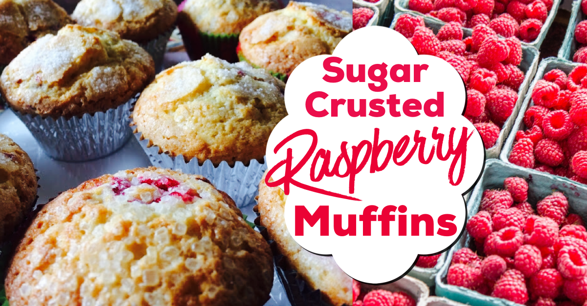Sugar Crusted Raspberry Muffins The Jersey Momma