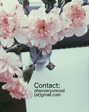 Contact