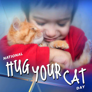 National Hug Your Cat Day HD Pictures, Wallpapers