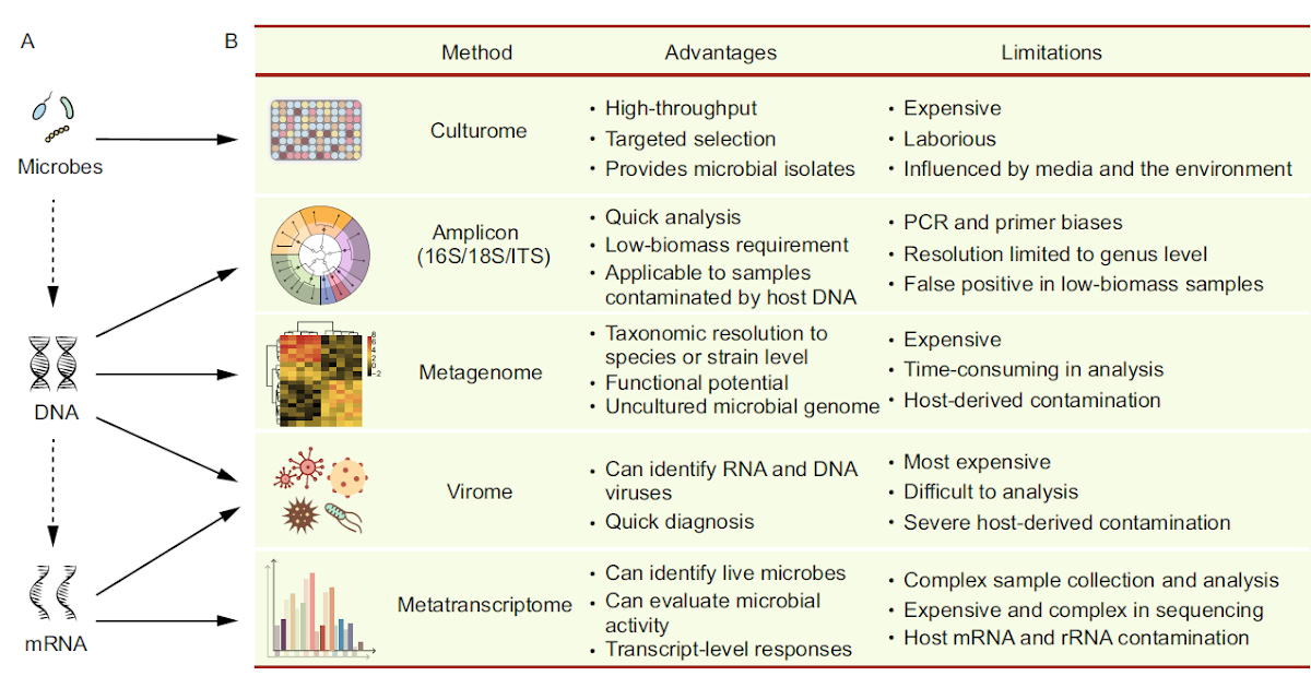 Analysis Microbiome Data Analysis Hubert