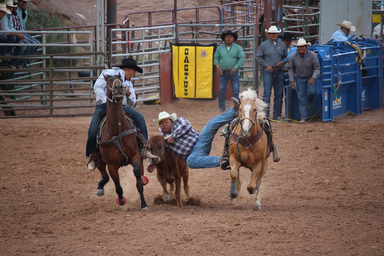 Armand's Rancho Del Cielo Bloomer Trailers Best of the Best Timed