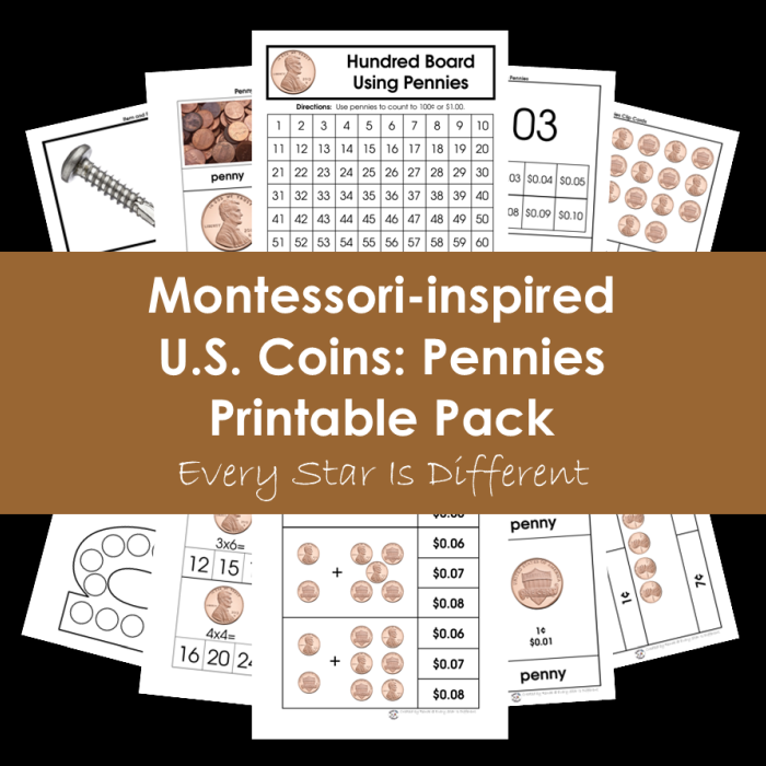 Every Star Is Different U S Coins Pennies Printable Pack Every Star Is Different U S Coins Pennies Printable Pack