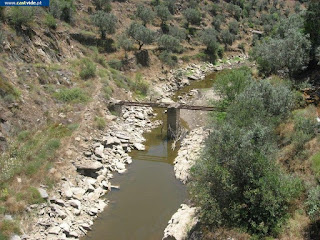 Velada (Ponte), Zonas de Pesca de Castelo de Vide / Portalegre (Alto Alentejo), Portugal (Fish)