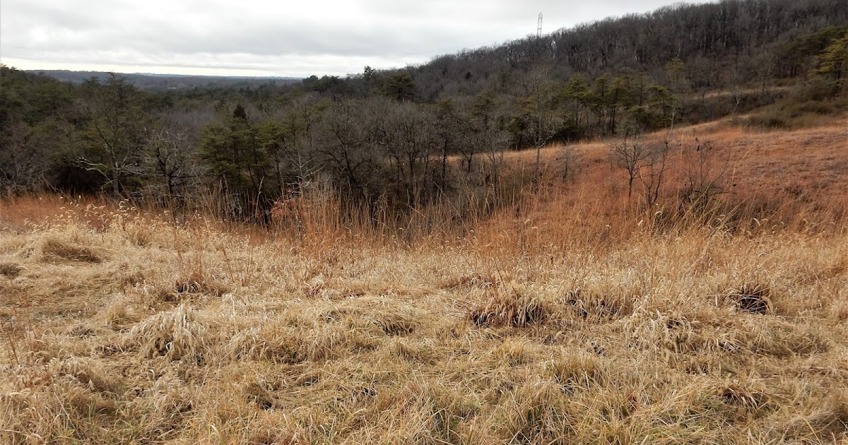 Natural MidAtlantic MD Soldier's Delight Natural Environmental Area