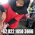 Tukang Kambing Guling di Lembang Bandung | 082216503666