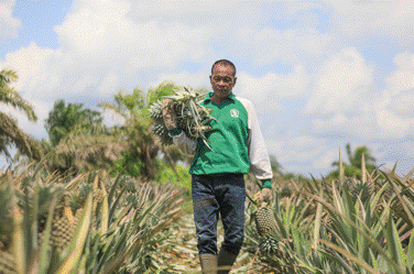 Perusahaan Sukanto Tanoto Bantu Tingkatkan Kesejahteraan Masyarakat Pedesaan Melalui OVOC