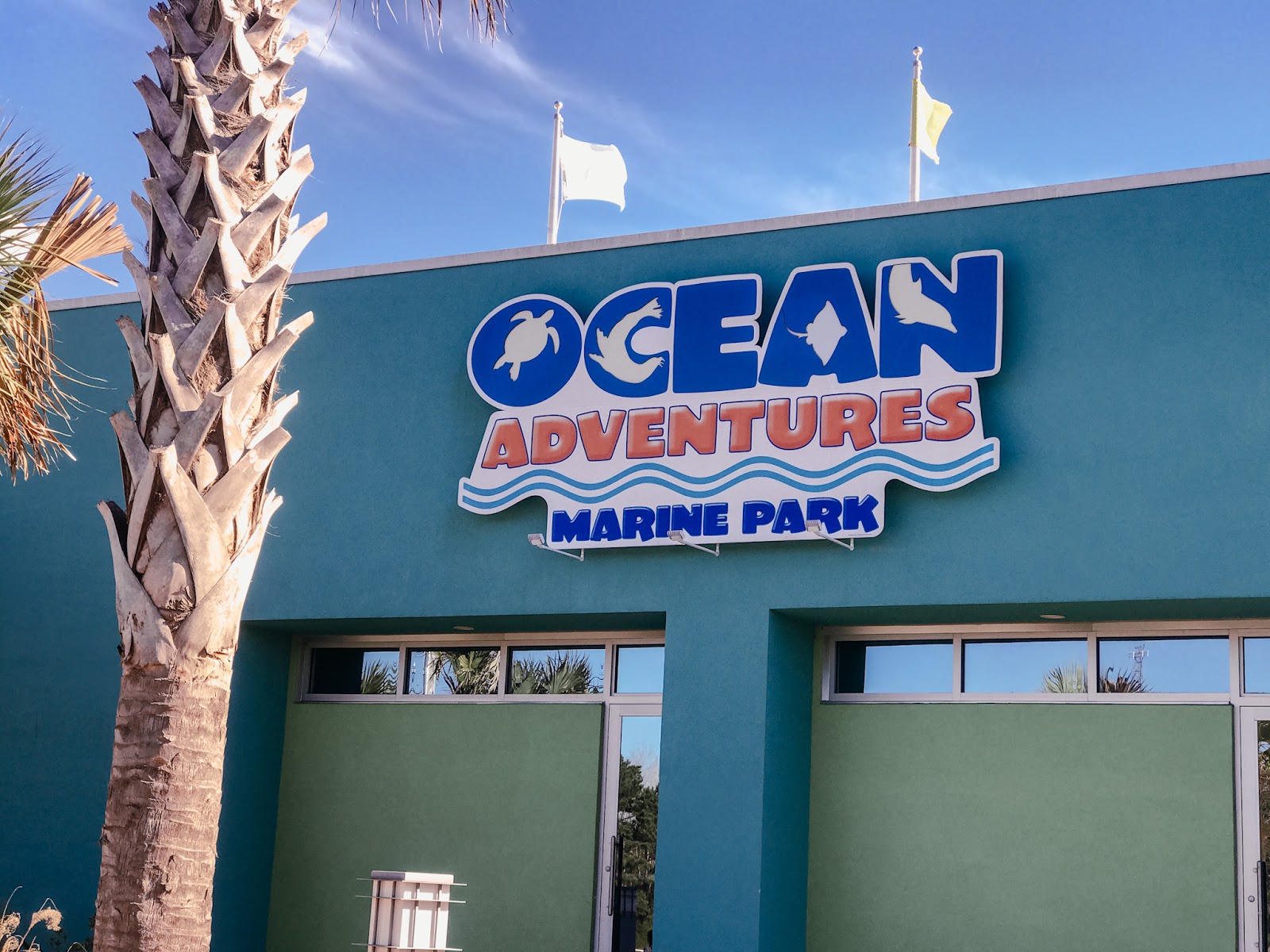 Family Fun At Ocean Adventures Marine Park Things To Do In Gulfport