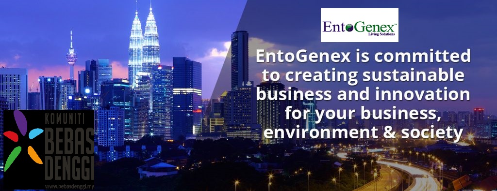 Download Lagu Upin Dan Ipin Bangau Oh Bangau Mp3