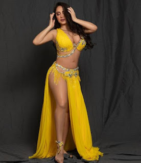 ملكة الرقص الشرقي \"اليسار\" في عيد ميلادها.. أجمل 8 إطلالات في 2019 ملكة الرقص الشرقي \"اليسار\" في عيد ميلادها.. أجمل 8 إطلالات في 2019