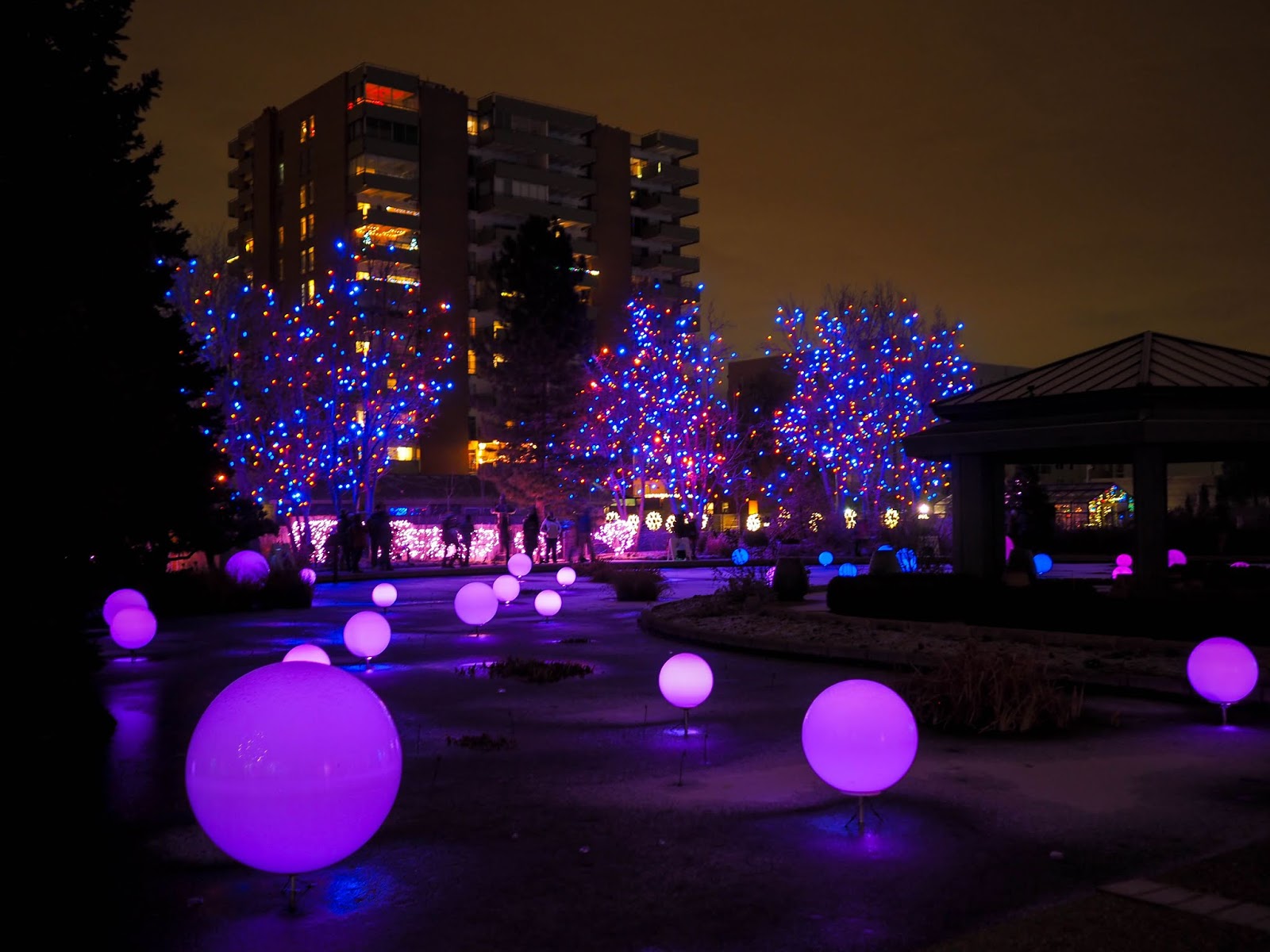 We can't wait to go see Blossoms of Light again this Winter, but in the