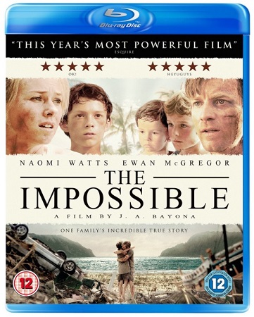 Poster Of The Impossible 2012 Dual Audio 720p BRRip [Hindi - English] Free Download Watch Online