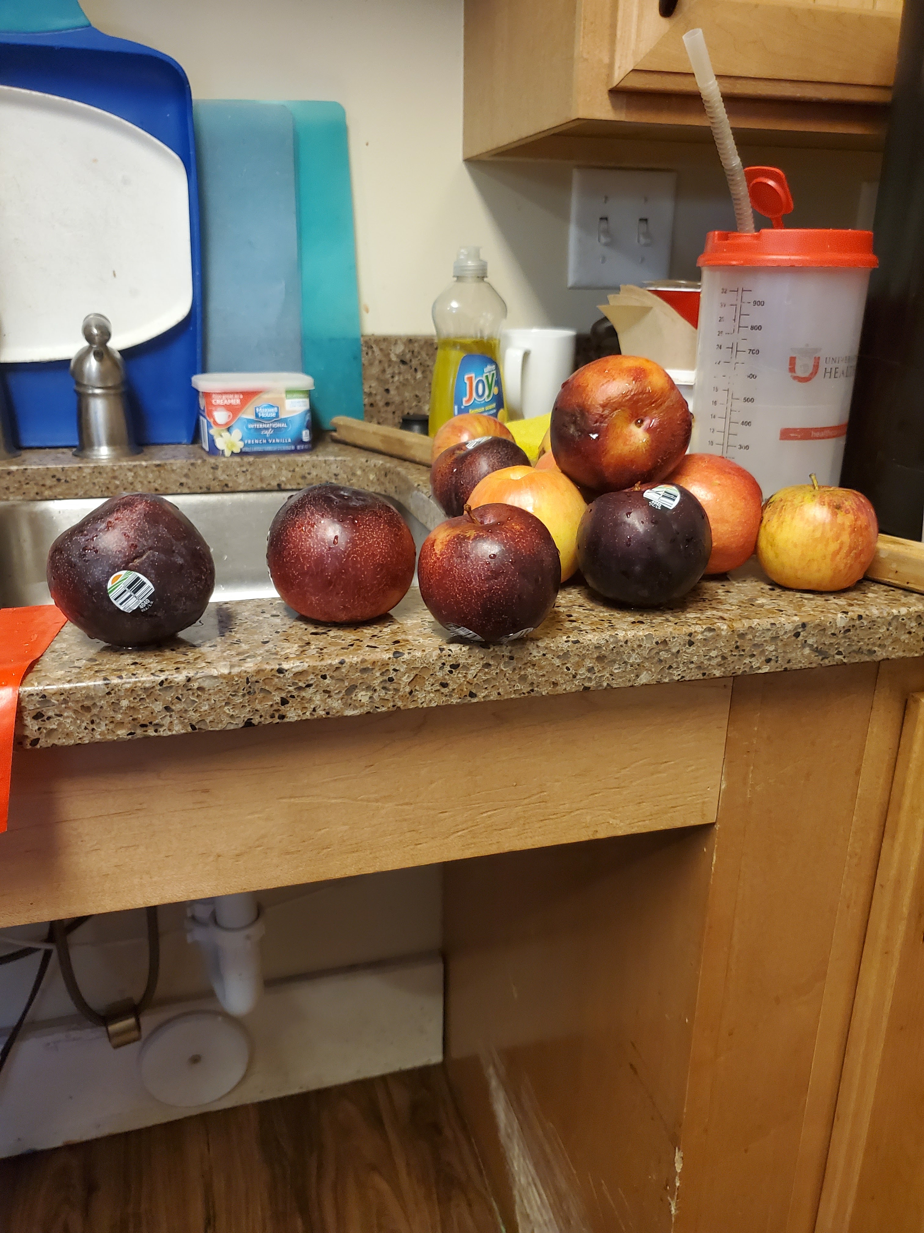 MEADOWLARK'S MIND Trader Joe's Has The Plums!