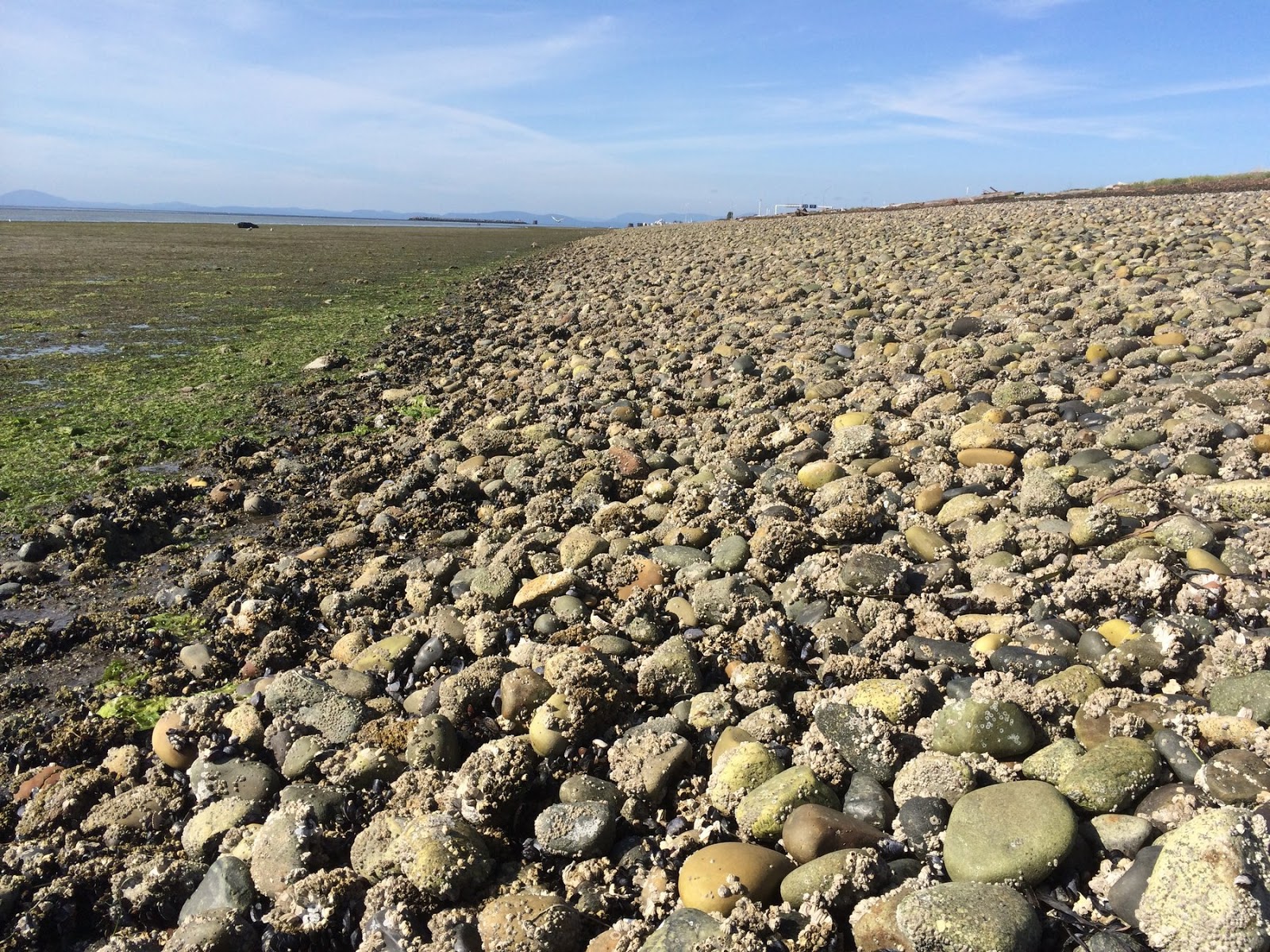 Gravel Beach Causeway Beach
