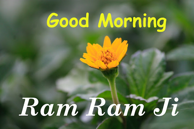 Good Morning Ram Ram Ji Flower Images,