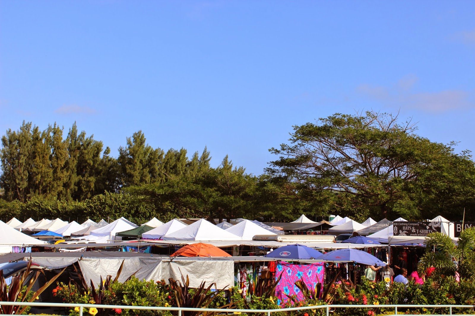 Maui Swap Meet and Container Unload Life with the Betsills