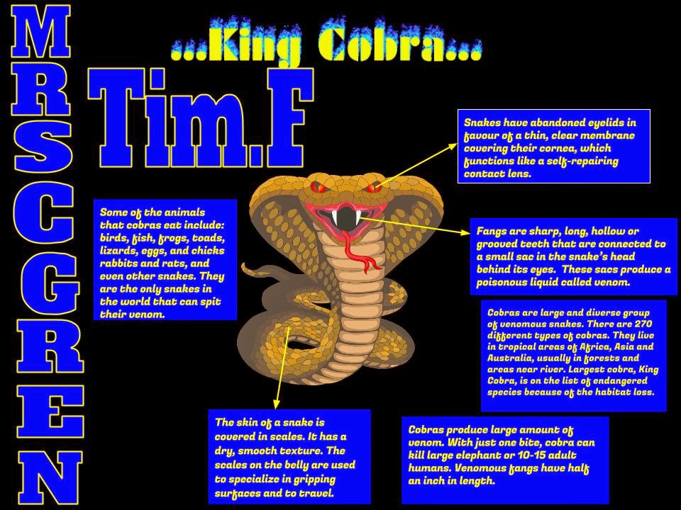 mrs-smallwood-s-science-classes-mrs-c-gren-posters