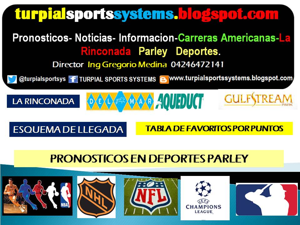 TURPIAL SPORTS SYSTEMS 