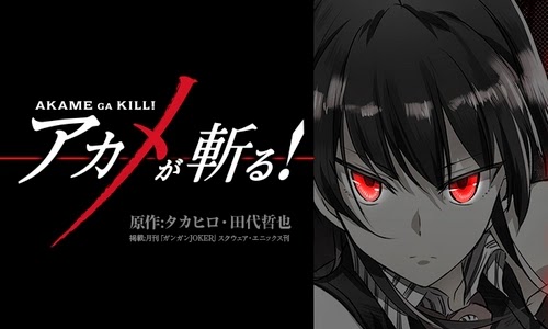 Akame Ga kill 24 #otakubr #animesbr #otakubrasil #animesbrasil