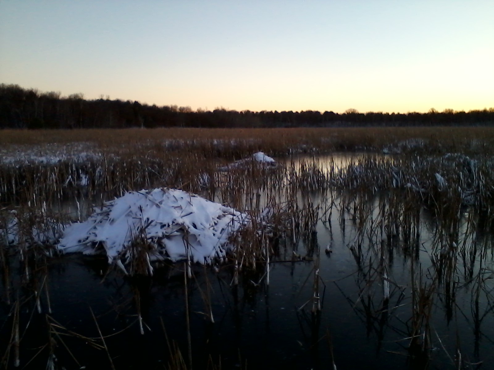 TravelBabble Bunker Hills Regional Park