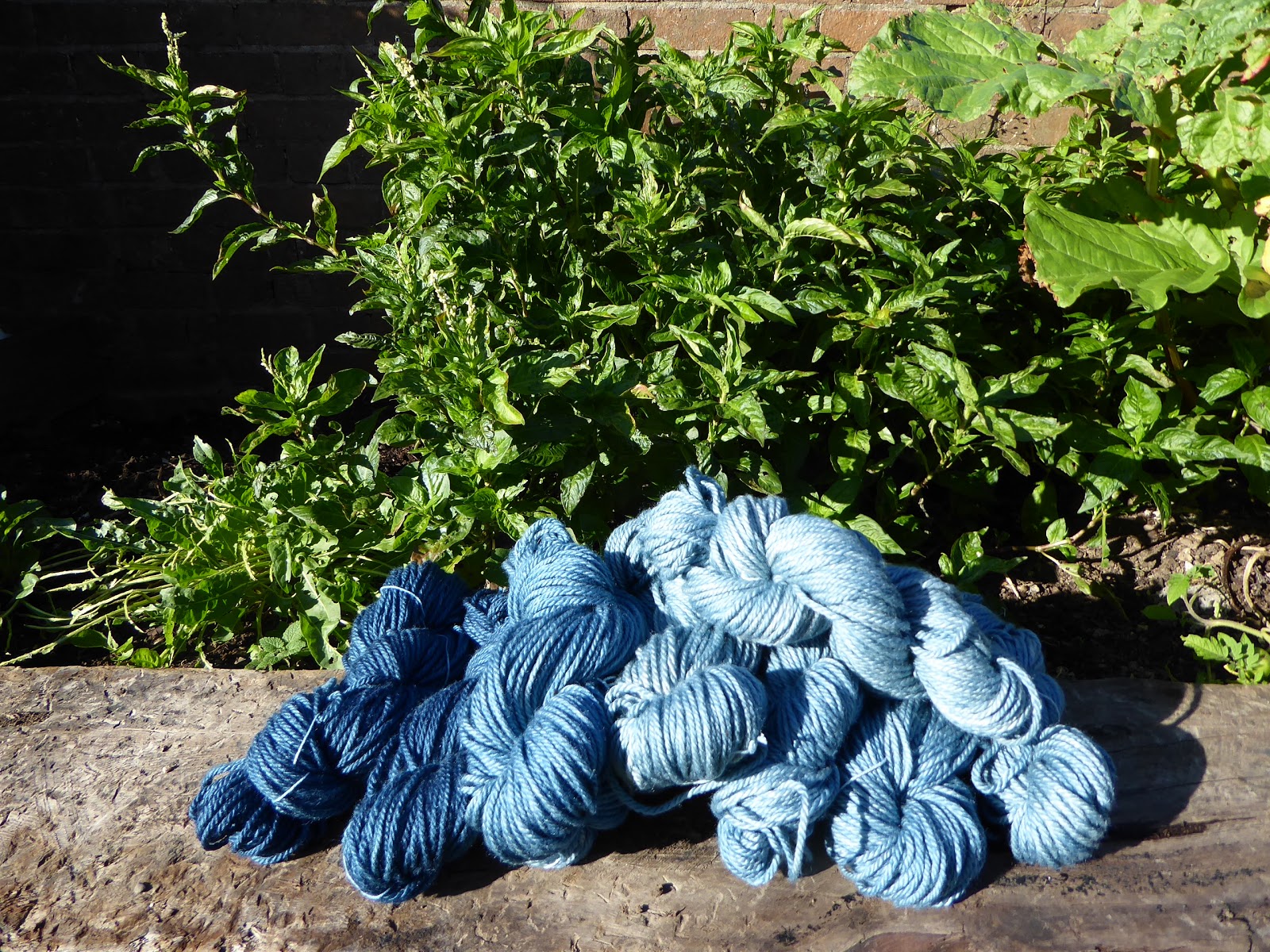 Wool Tribulations of Hand Spinning and Herbal Dyeing