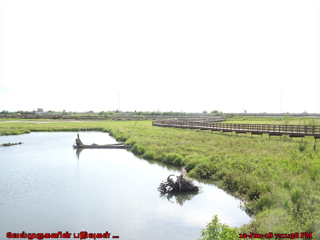 Potter Marsh Bird Sanctuary