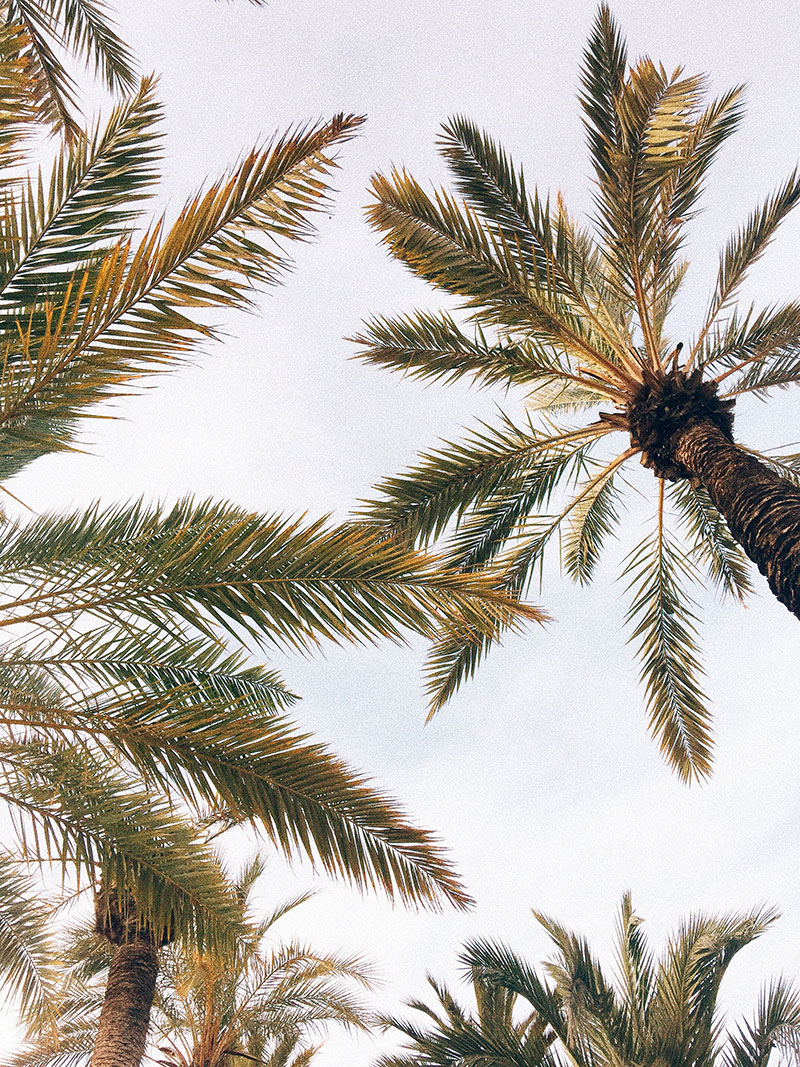 Travel Diary | Life Lately: Winters in Spain