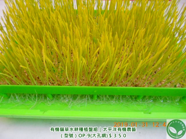 �p��,�߯�,�p������Ѫk,�^�K�����\��,�p����ش�,�p����,���֤p����ؤl,�߯����,�åͯȺؿ߯�,�߯�ش�