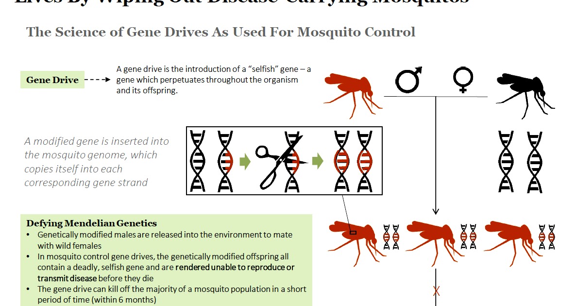 The Gene Drive PT's IAS Academy
